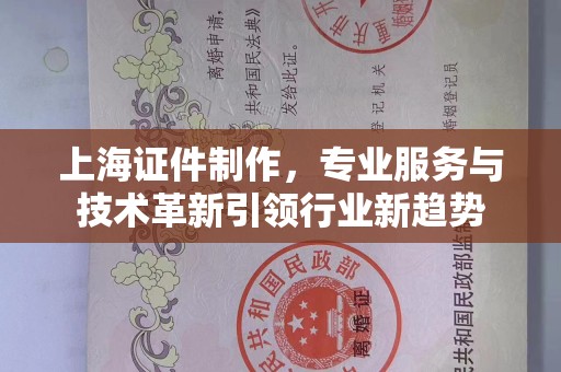 苏州上海证件制作，专业服务与技术革新引领行业新趋势