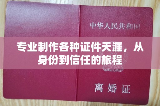 苏州专业制作各种证件天涯，从身份到信任的旅程
