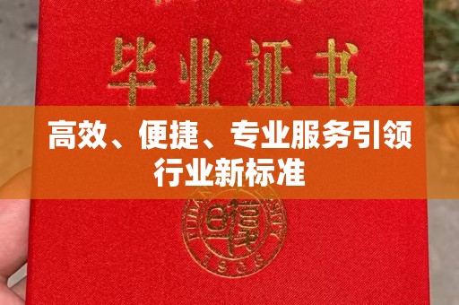 苏州高效、便捷、专业服务引领行业新标准