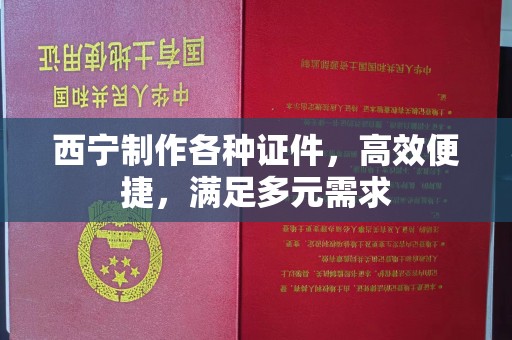 苏州西宁制作各种证件，高效便捷，满足多元需求