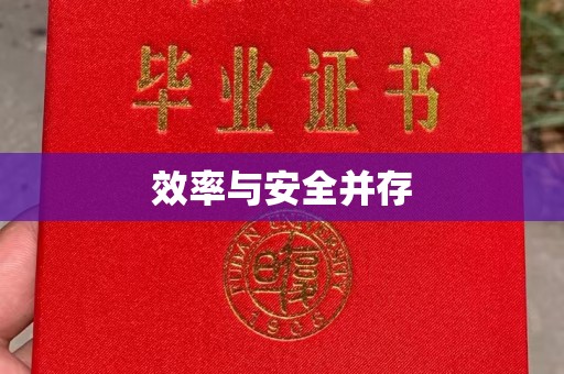 苏州效率与安全并存