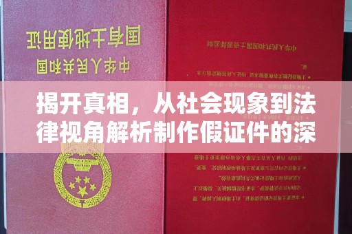 苏州揭开真相，从社会现象到法律视角解析制作假证件的深层影响