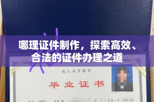 苏州哪理证件制作，探索高效、合法的证件办理之道