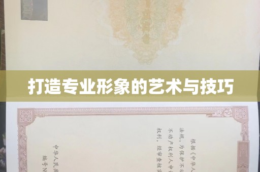 苏州打造专业形象的艺术与技巧